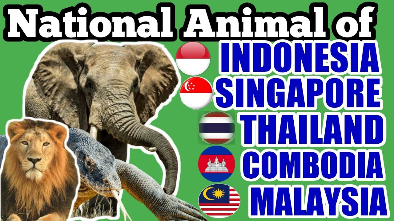 National Animal Of Indonesia Cambodia Malaysia Thailand Singapore National Animal Youtube