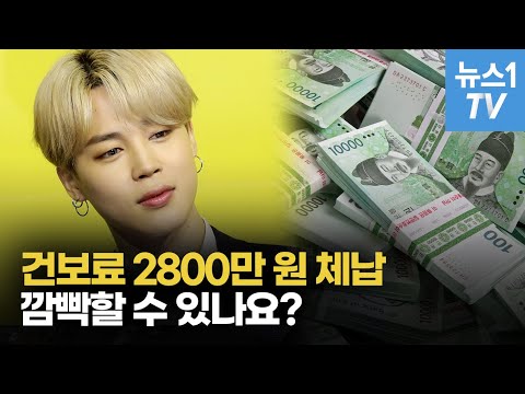 2800만원 건강보험료 체납한 BTS 지민, 고의? 깜빡?