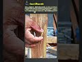 楔(くさび)を使って木材を強固に固定する精密木工技術 #worker #process #woodjoint #tools #handmade