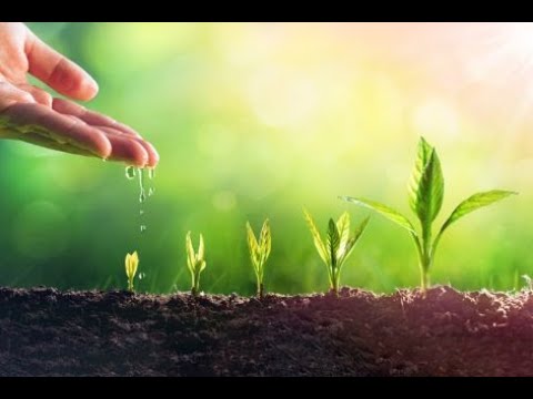 How To Grow In Faith 