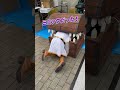 フリーレンあおちゃんが！？#shorts #cosplay #葬送のフリーレン #おすすめ #ミミック#miyacos