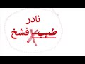  نادر طيب فشخ  