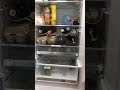 Moderní úklid: kdy čistit lednici a použití pohlcovače pachu