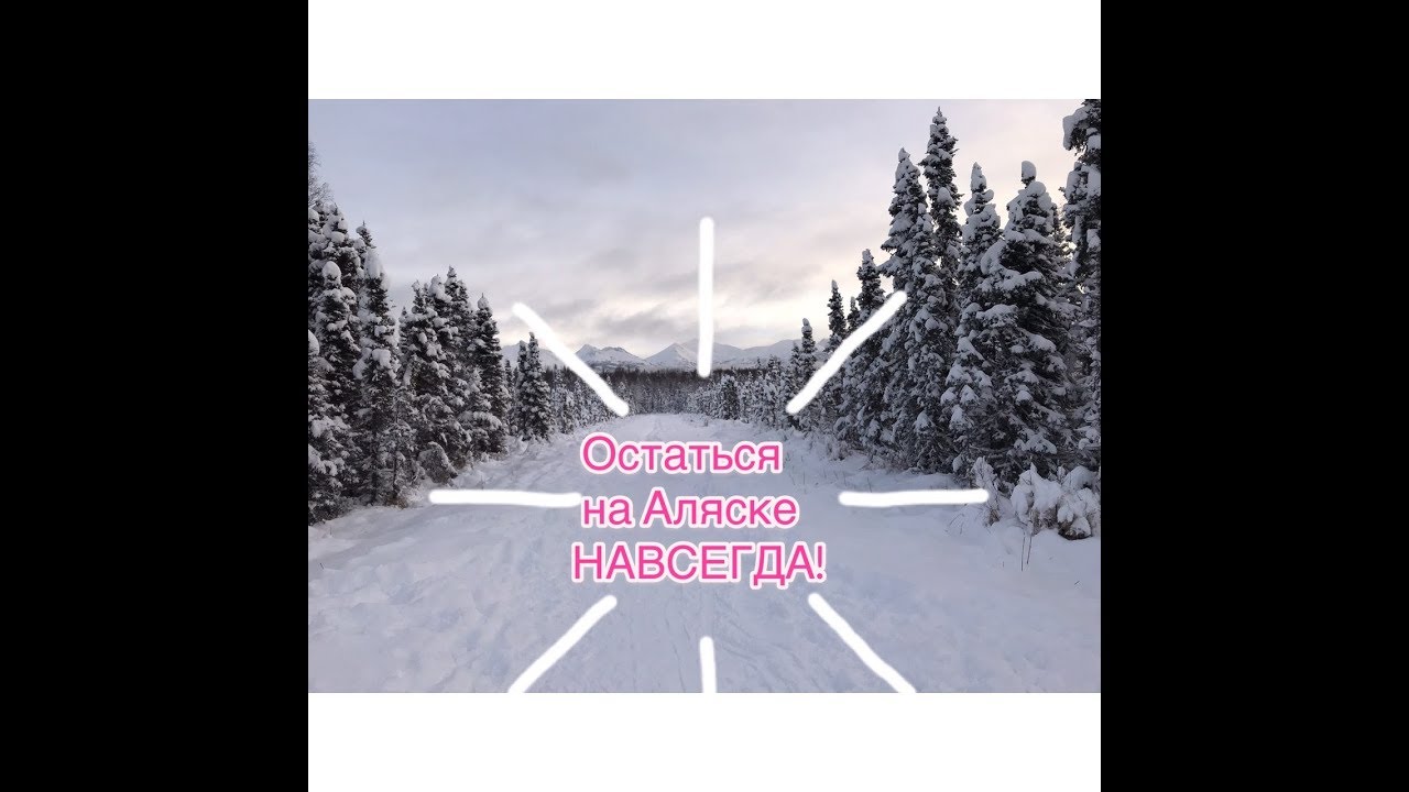 александр баранов памятник. аляска жизнь и быт. шарий переехал на аляску. американка переехала в москву. аномальные зоны аляски.