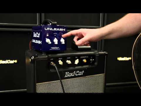 bad-cat-amps-unleash-demo