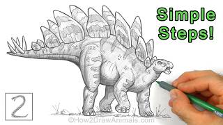 Easy Way to Draw a Stegosaurus Using Simple Shapes