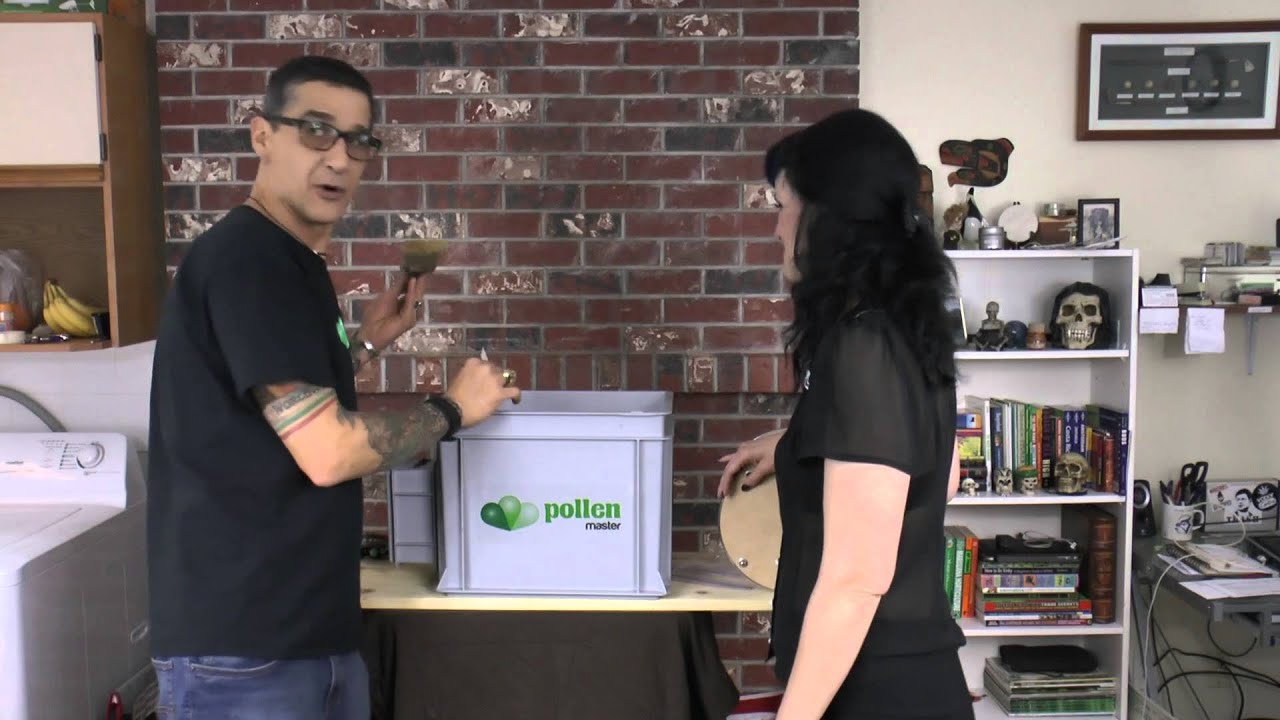 hashim sarkis Pollen Master P150