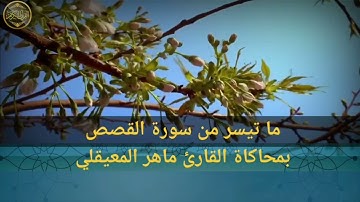 ما تيسر من سورة القصص | 52-88