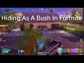 Hiding As A Bush In Fortnite