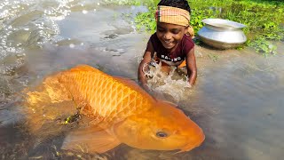 Amazing Traditional Boy Fish Catching By Hand in Water | Amazing Hand Fishing Video #Fish