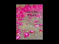 새해인사