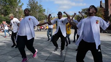 Lambda Upsilon Lambda (Alpha Chapter) - MGLC Yard Show/Block Party 2017