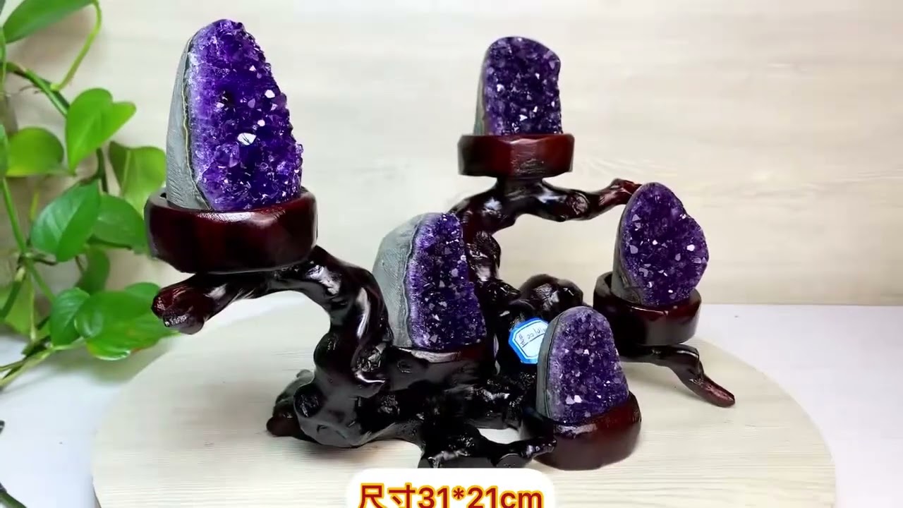 5 pcs natural amethyst geode druzy cluster with tree wooden stand