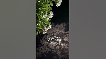 ما المسيح ابن مريم إلا رسول أحمد النفيس من سوره المائدة