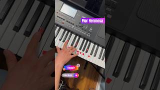 Flor Hermosa #elcoyotemusic#moviditas#teclados #musicaparabailar