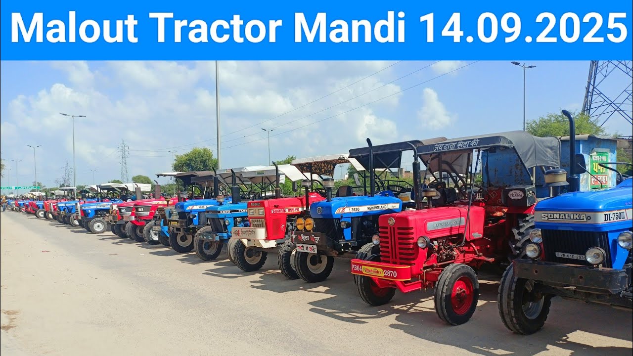 Malout Tractor Mandi 14.9.2025 ll ਮਲੋਟ ਟਰੈਕਟਰ ਮੰਡੀ ll Full mandi video #tractormandi 