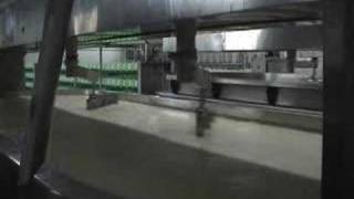 Museo do queixo: o callado