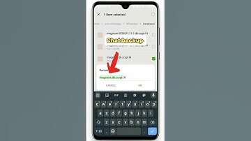 How to Backup WhatsApp Data In 2024 #android #ios #whatsapp #backup #datarecovery #shorts
