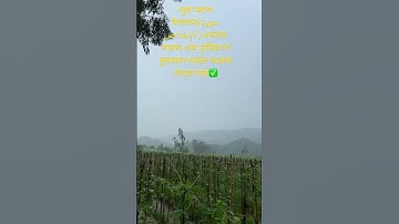 সূরা আল-ইখলাস( سورة الإخلاص ) একবার পড়লে এক তৃতীয়াংশ কুরআন পড়ার সওয়াব পাওয়া যায় #waz #oc #bd
