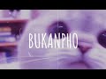 [Vietsub + Lyric] Bukanpho - DJ DESA (remix) | Music Tik Tok