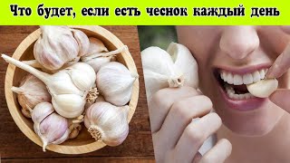 Что будет, если есть чеснок каждый день? | 8 Полезные свойства чеснока