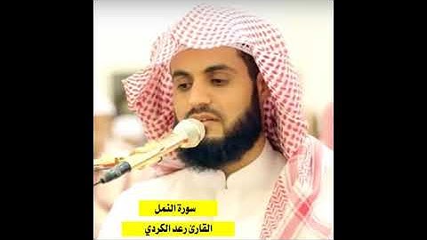 تلاوة رائعة للقارئ رعد الكردي سورة النمل كاملة Surah An-Naml