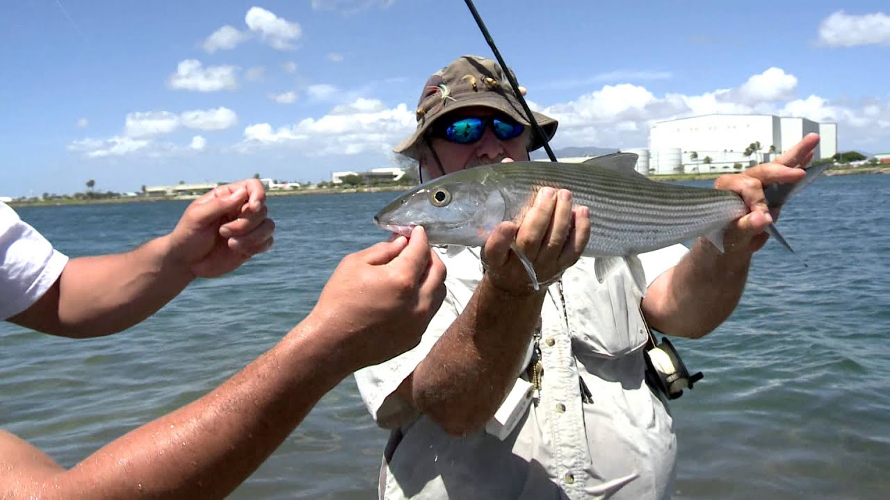 MOLASSES SPILL FISHING PKG YouTube