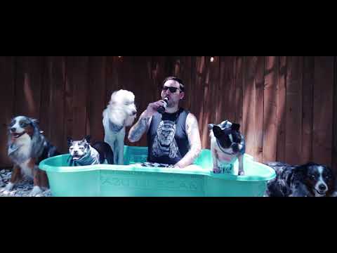 Teenage Bottlerocket - “I Wanna Be a Dog” (Official Video)