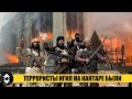 Вторжение ТЕРРОРИСТОВ  в Германию из Таджикистана! Причем тут Казахстан?