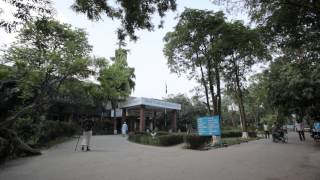 Inside CRP MVI 8493