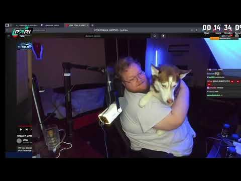 ТОША И ЛАКИ - YouTube