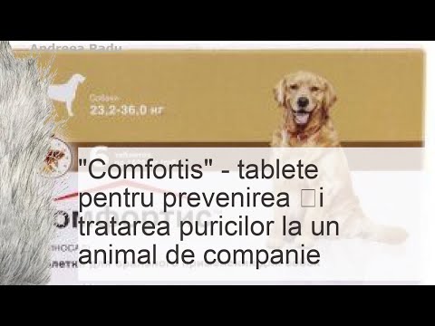 „Komfortis” pentru pisici și câini, instrucțiuni de utilizare a medicamentului pentru purici