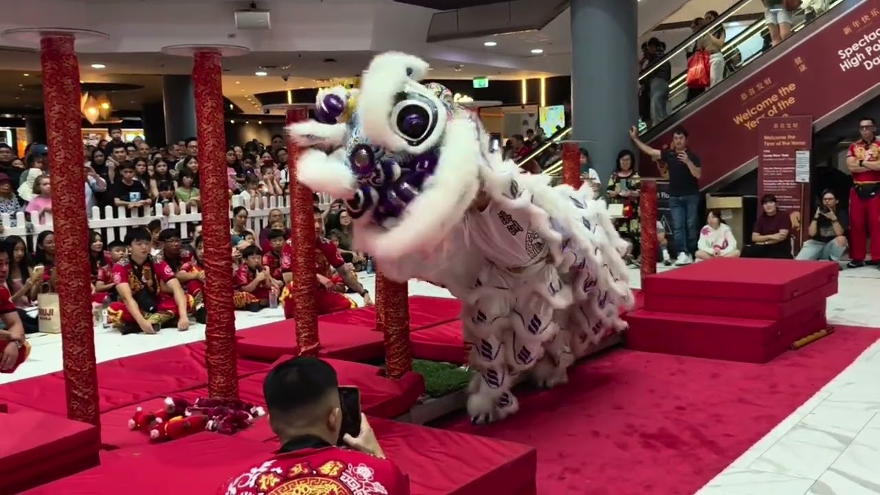 红红火火过大年！春节快乐！悉尼唐人街华人商厦，华人舞狮！