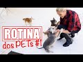 ROTINA DOS PETS #1 | MINHA ARCA DE NOÉ