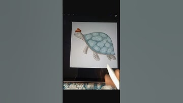 Tap into Your Creativity: Fun Turtle Art Using Procreate! #art #drawing,#painting #procreate