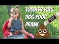 TODDLER PRANK -  DAD PRANKS MOM