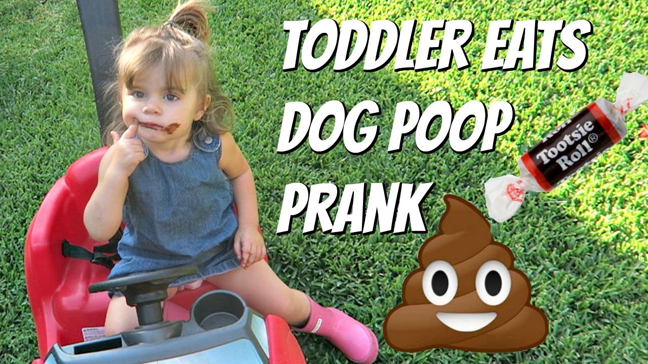 baby eating dog poop