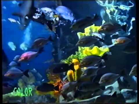 香港經典廣告1997香港海洋公園