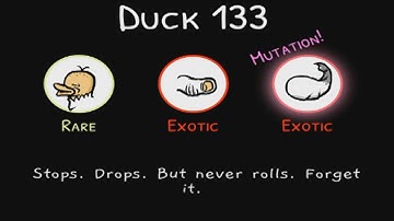 Double Exotic Egg Cluster Duck