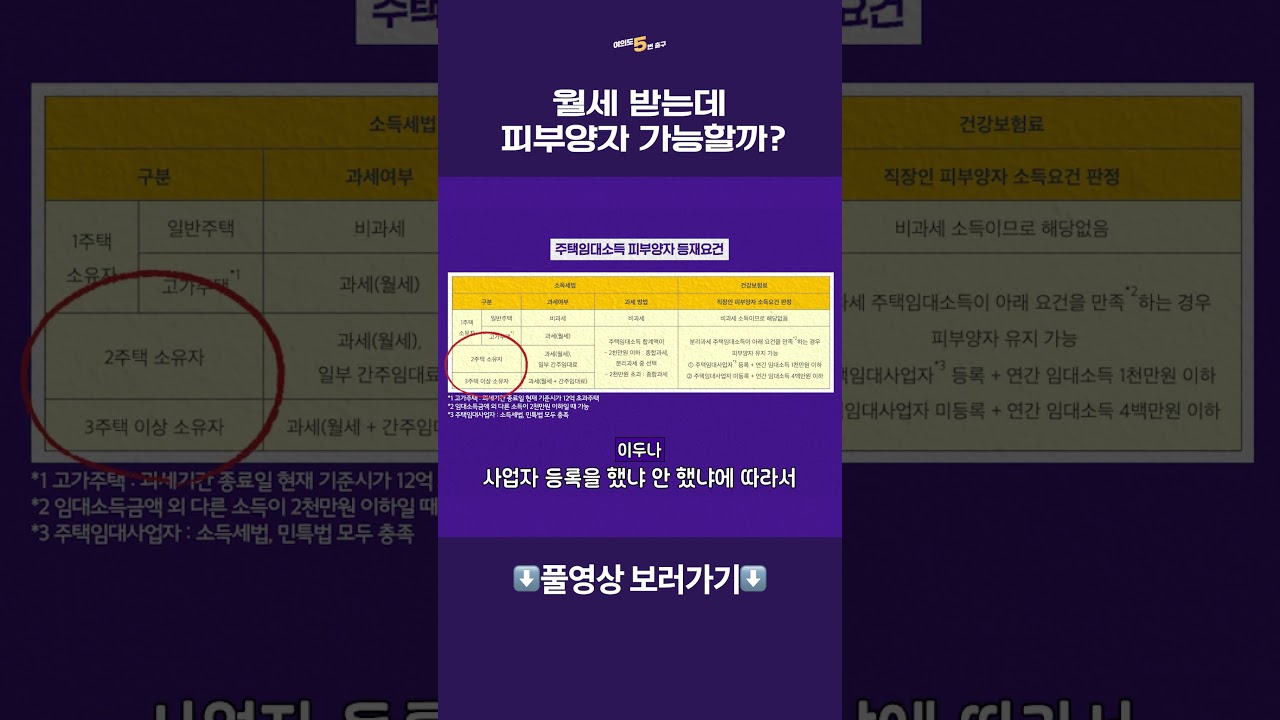 동영상 재생