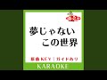 夢じゃないこの世界 (カラオケ) (原曲歌手:WEAVER)
