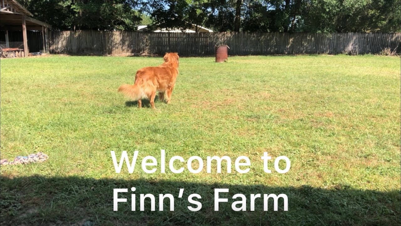 Garden work with old tractor