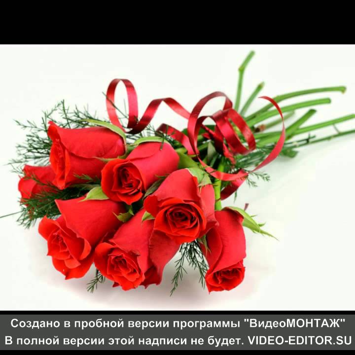 La Multi Ani Fina Lenuta Youtube