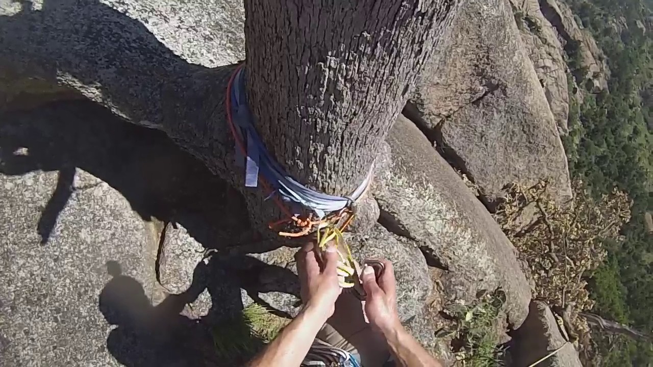 WMWR - Tree Route 5.5