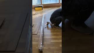 마루시공-강화마루 철거후 강화마루 및 걸레받이 시공
