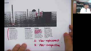 CE437_Lec05_Deep Compaction Techniques