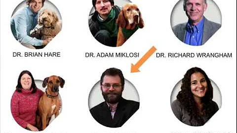 Dog Emotion and Cognition : Dognition, Part 1