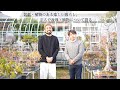 本当に好きな人だけに。「盆栽・植物がもっと近くに」塩津植物研究所 × 盆栽翠松園 松末