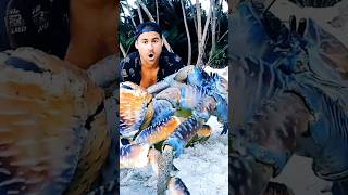 পৃথিবীর অন্যতম অদ্ভুত ও শক্তিশালী কাঁকড়া 🦀 Coconut crab #shorts #trending #viral #crab
