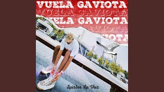 Vuela Gaviota (Solo)